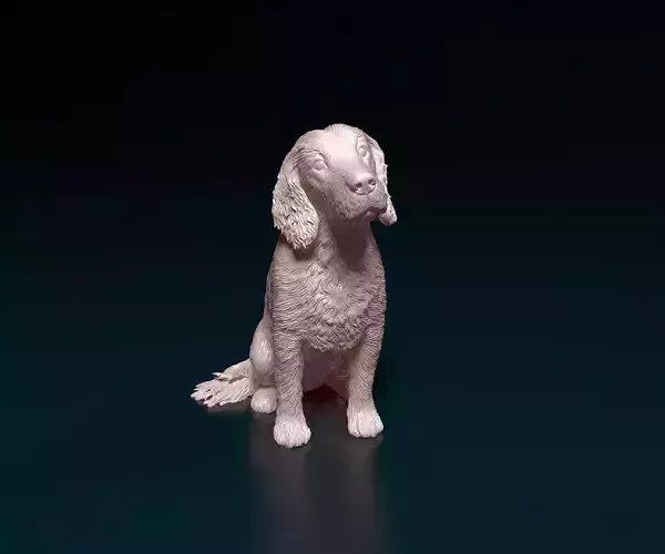 English Cocker Spaniel 3D print model