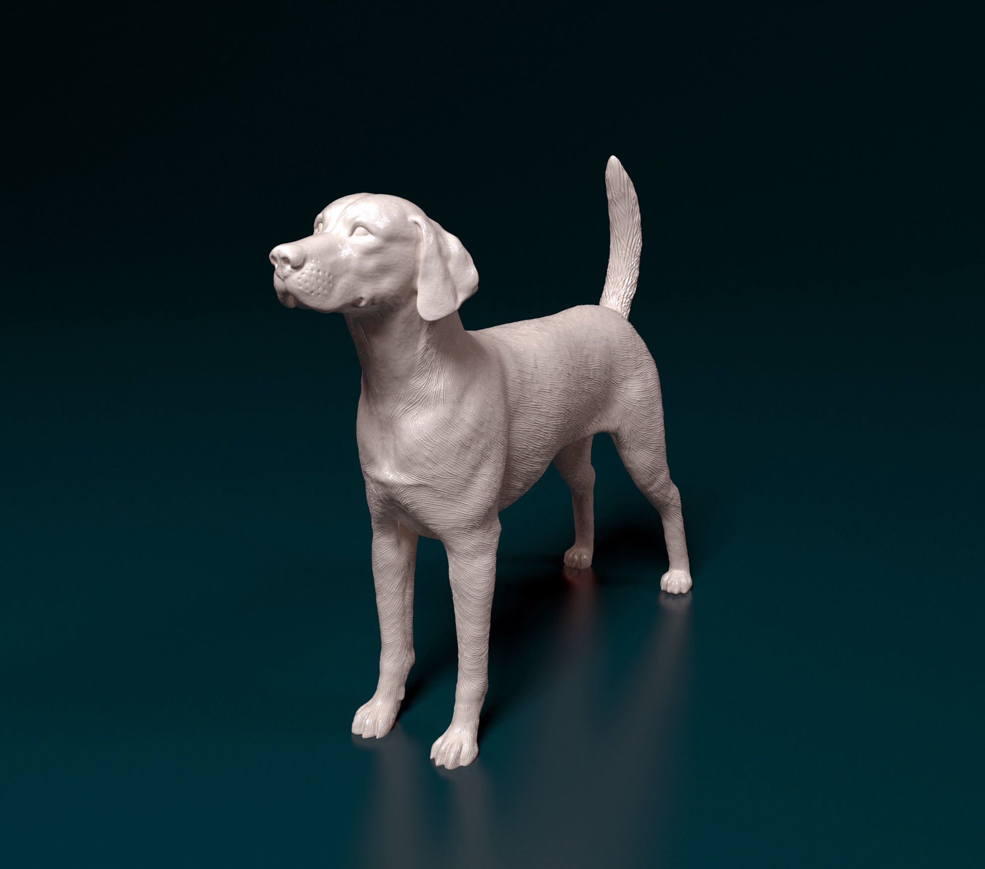 English Foxhound  3D print model_6