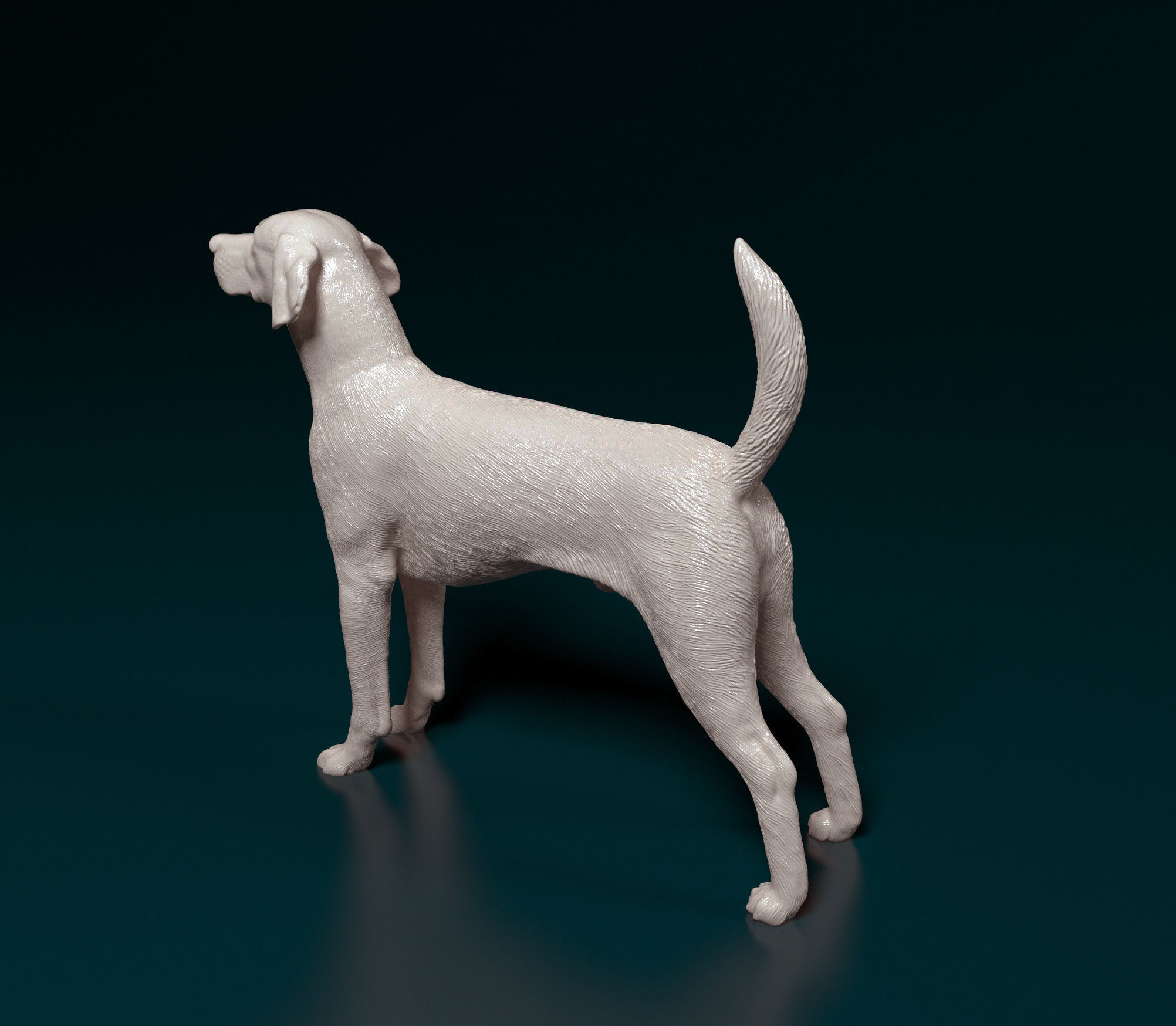 English Foxhound  3D print model_4