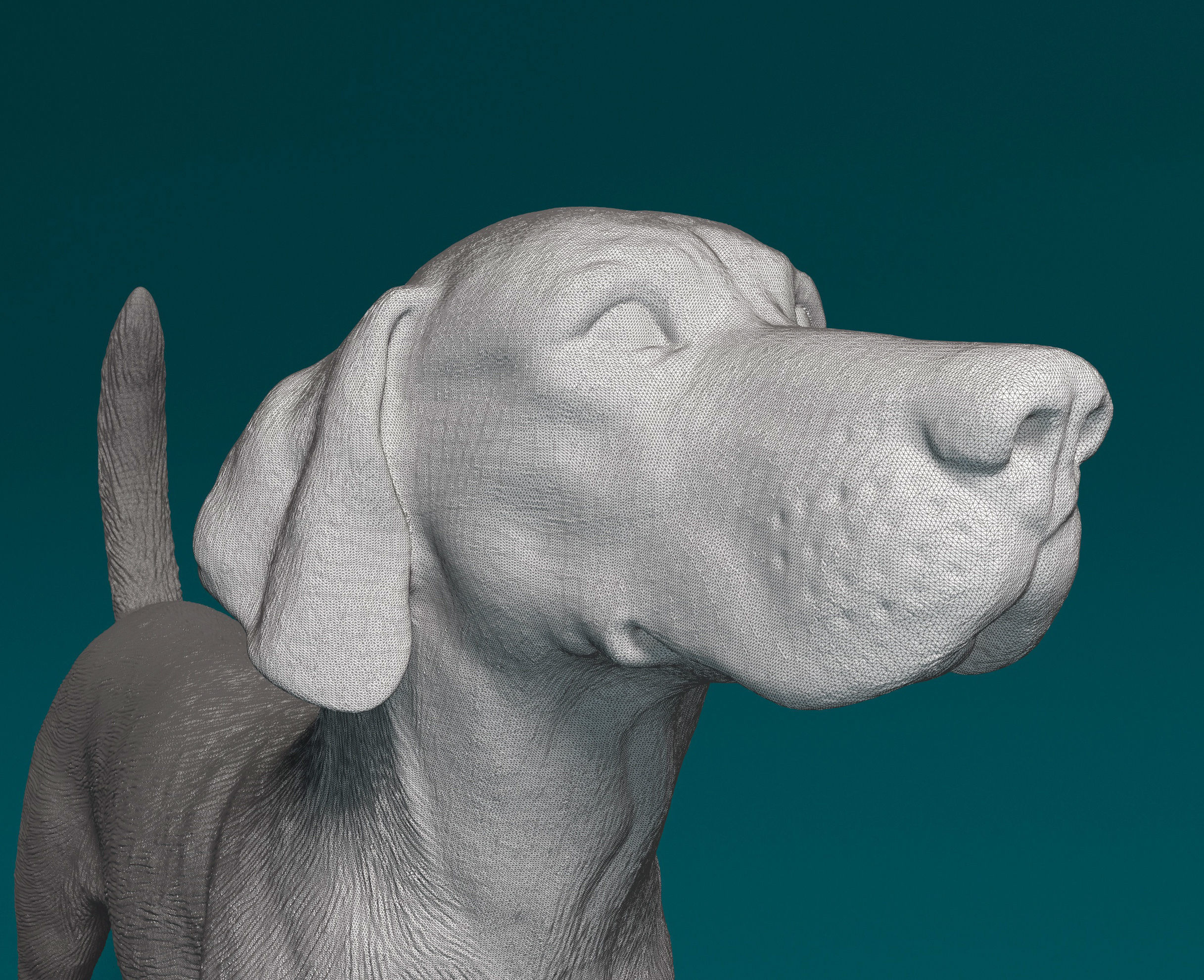 English Foxhound  3D print model_9