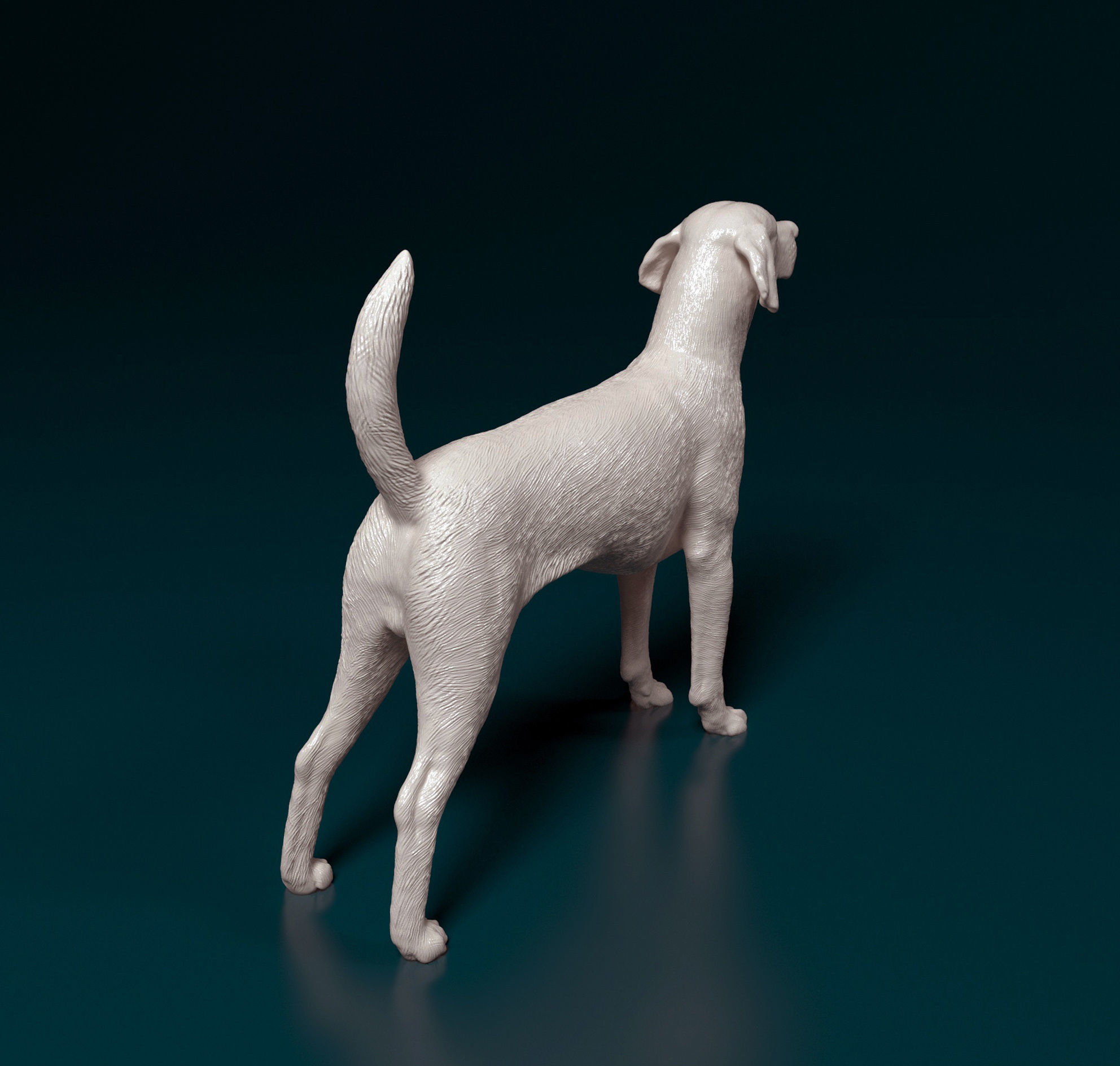 English Foxhound  3D print model_2
