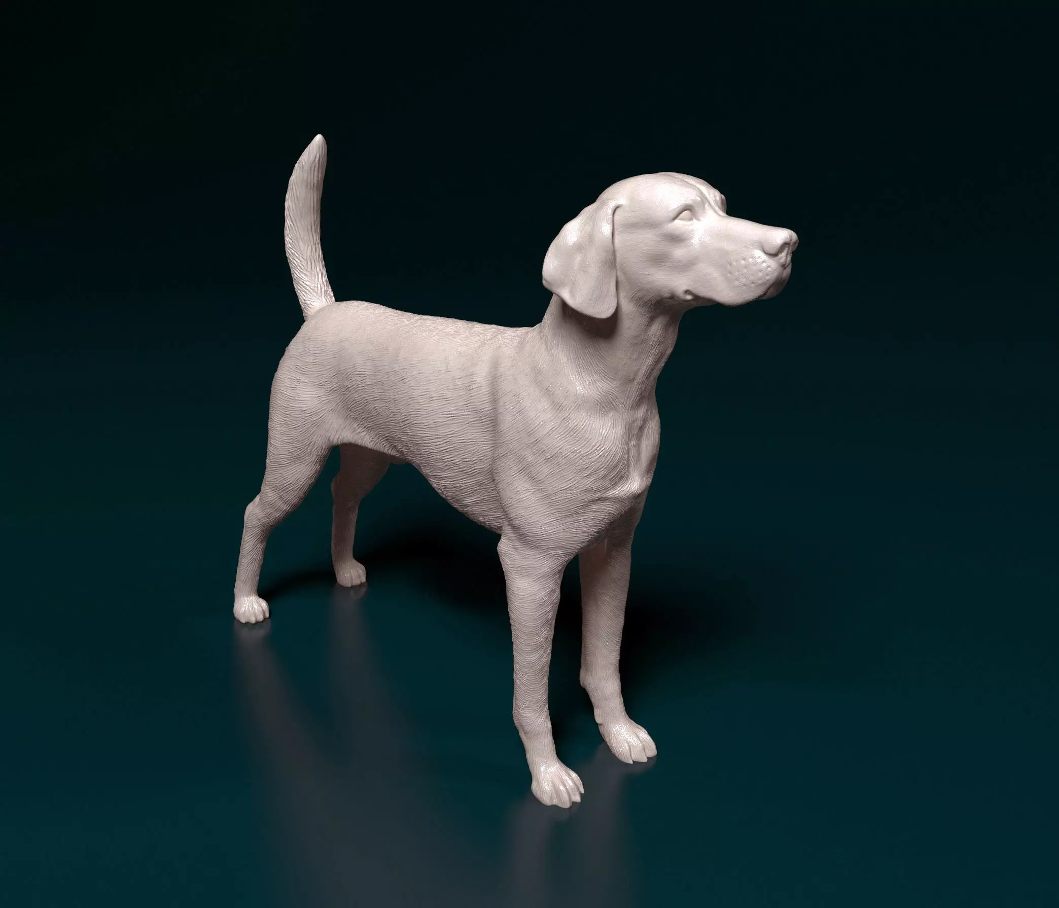 English Foxhound  3D print model_0