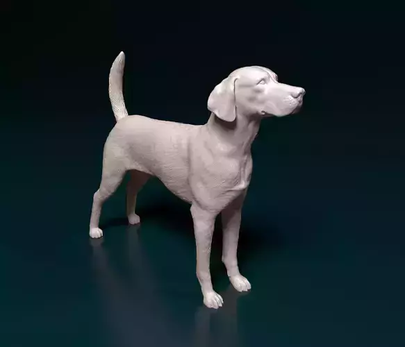 English Foxhound  3D print model
