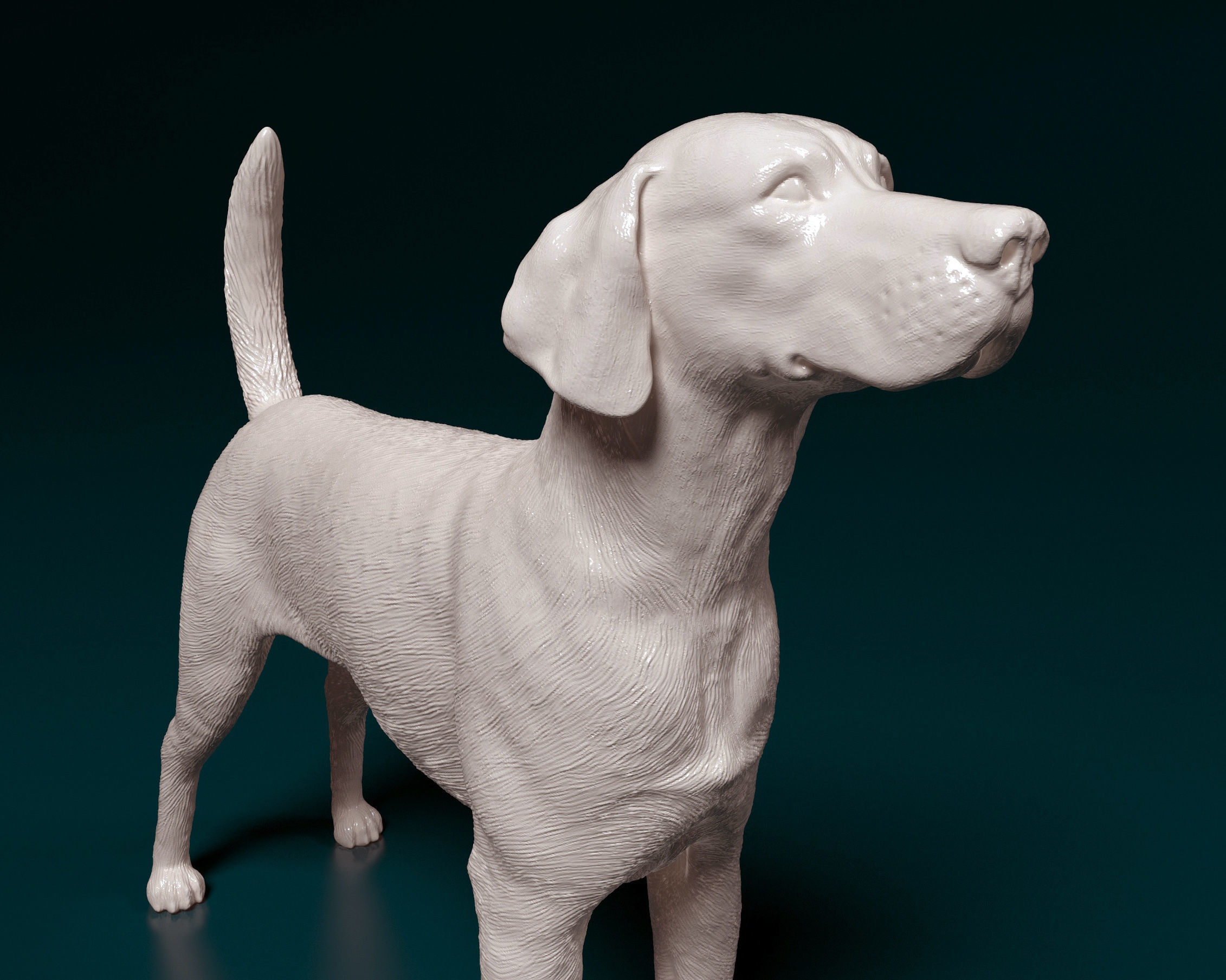 English Foxhound  3D print model_8