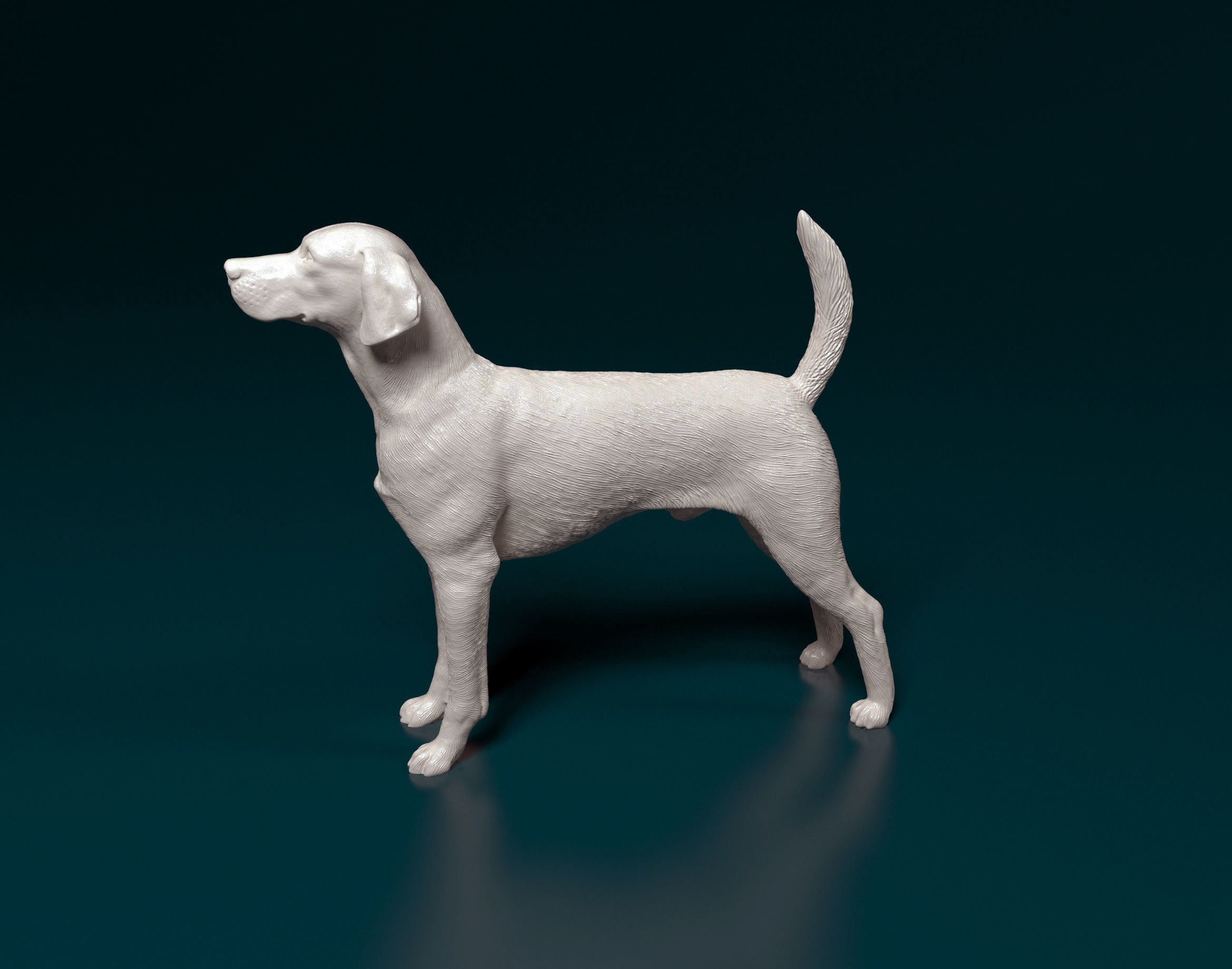 English Foxhound  3D print model_5