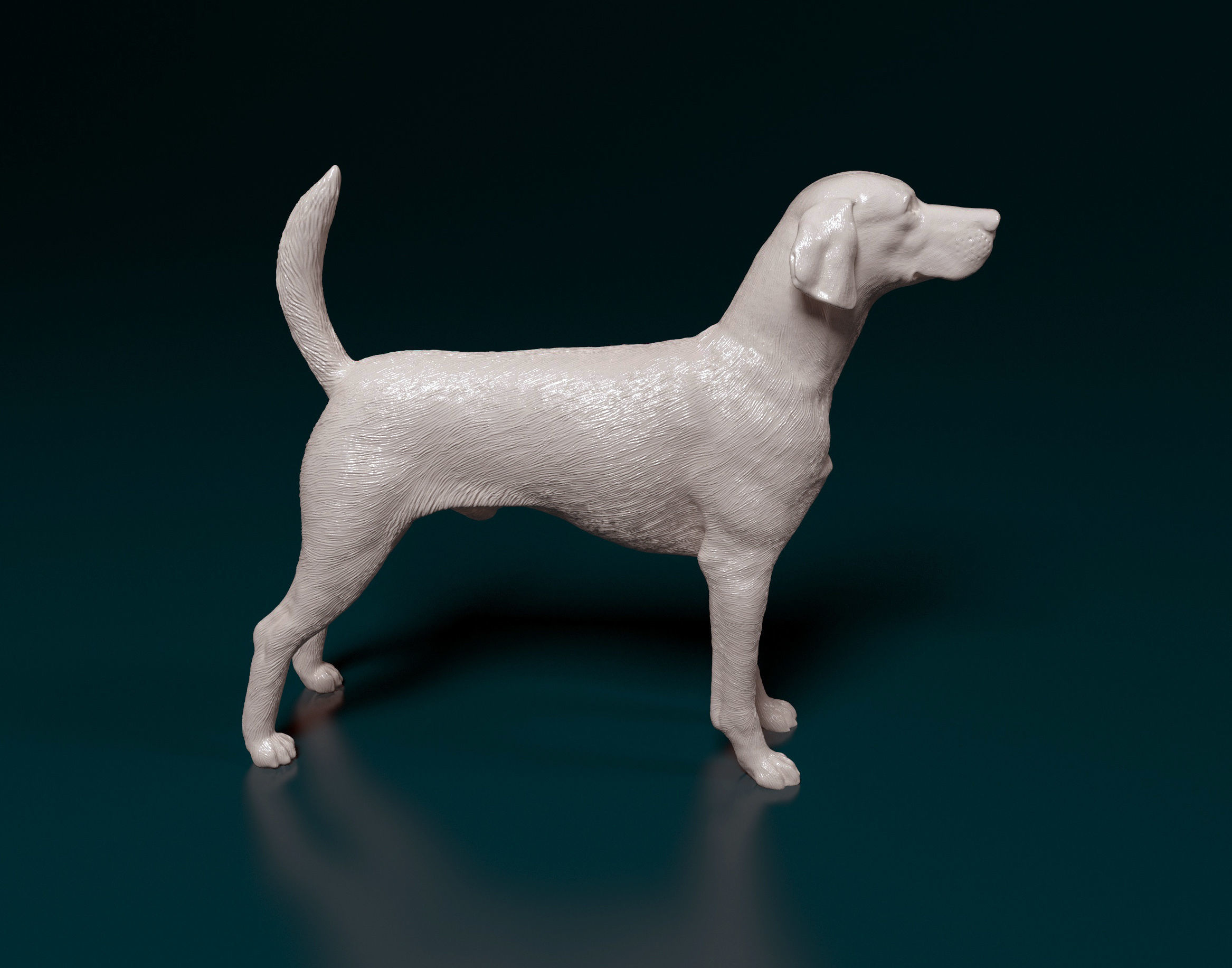 English Foxhound  3D print model_1