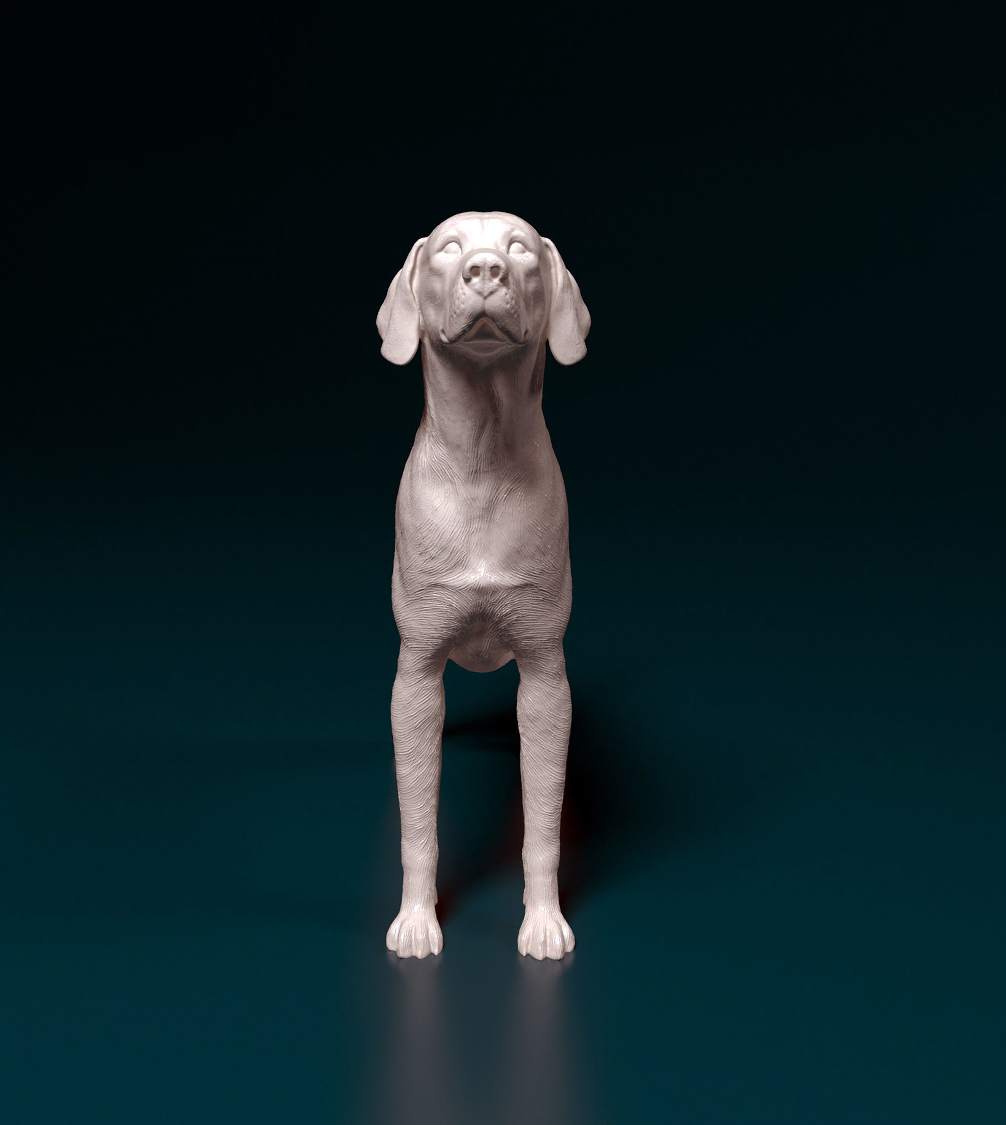 English Foxhound  3D print model_7