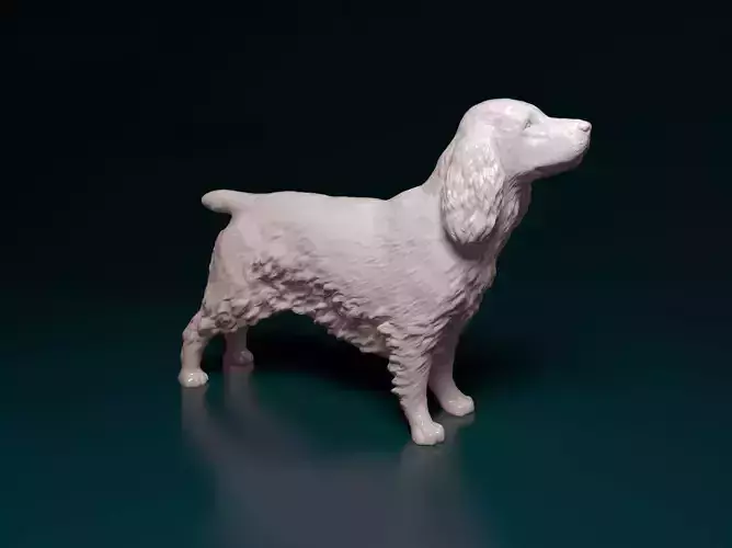 English Cocker Spaniel 3D print model
