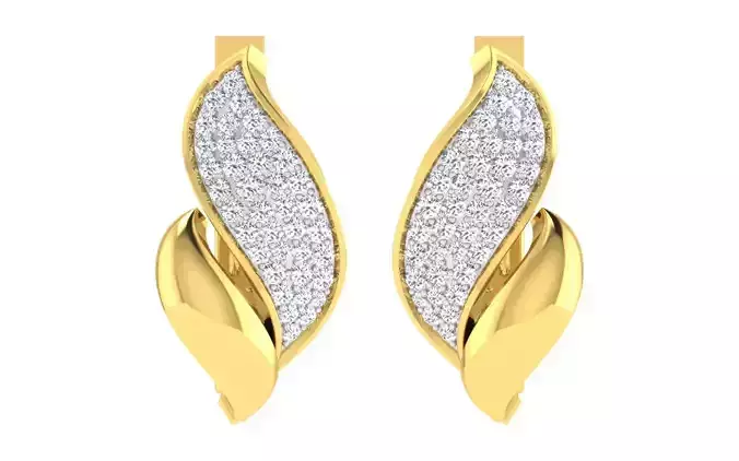 Women earrings