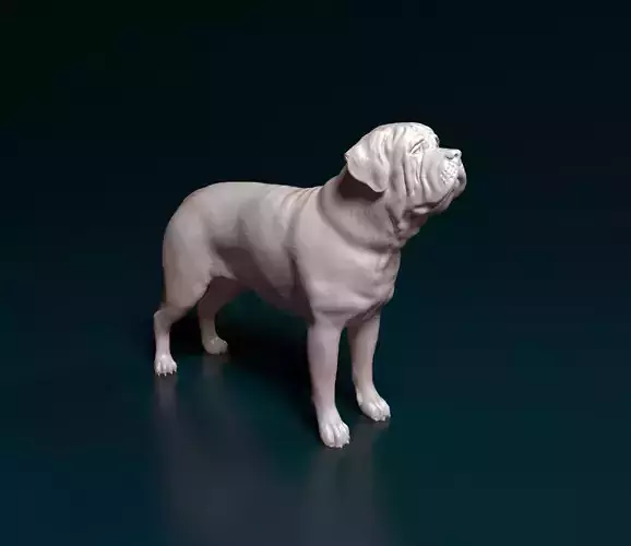 English Mastiff 3D print model