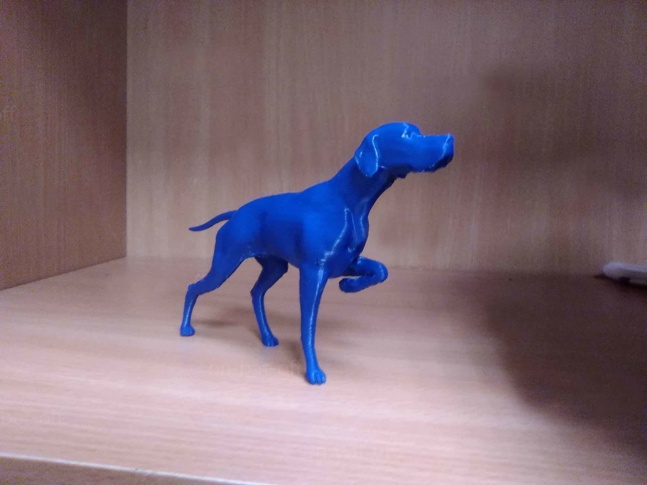 English Pointer 3D print model_9