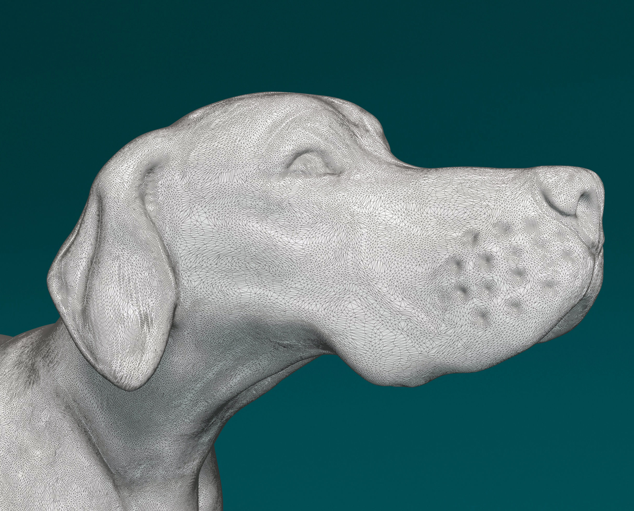 English Pointer 3D print model_10