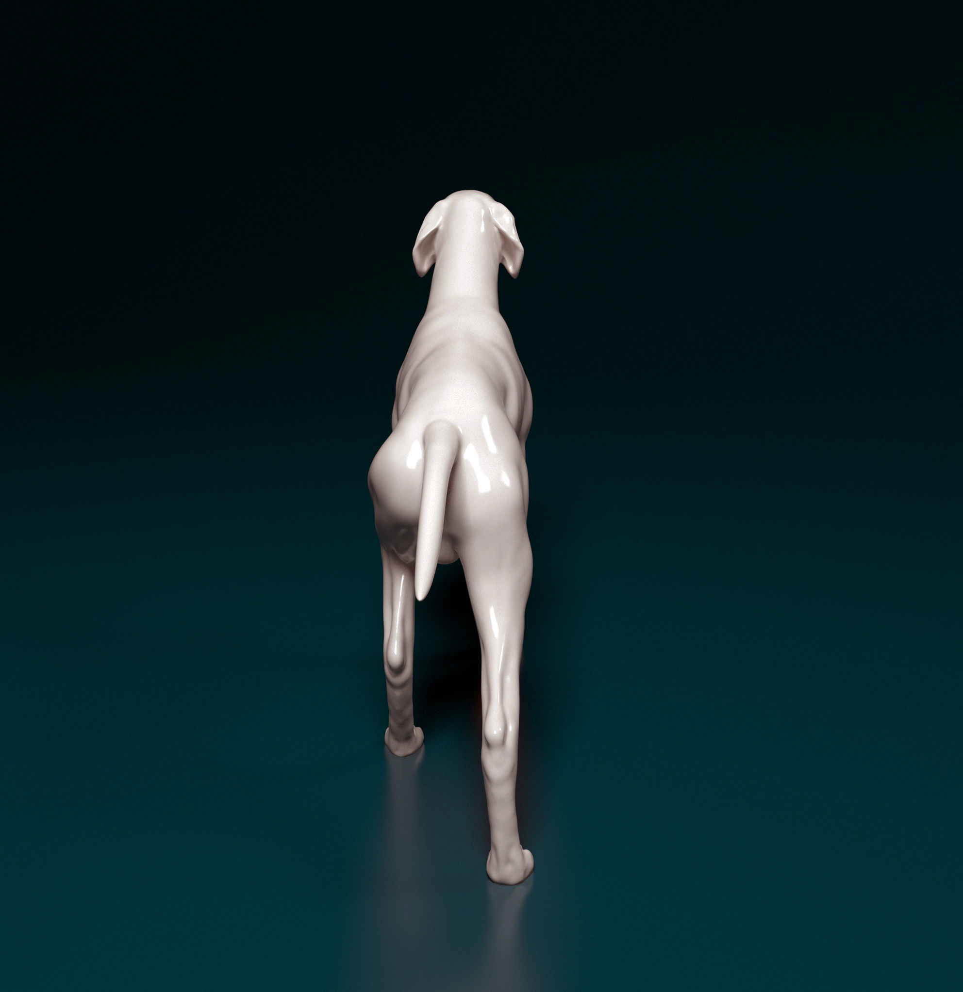 English Pointer 3D print model_3