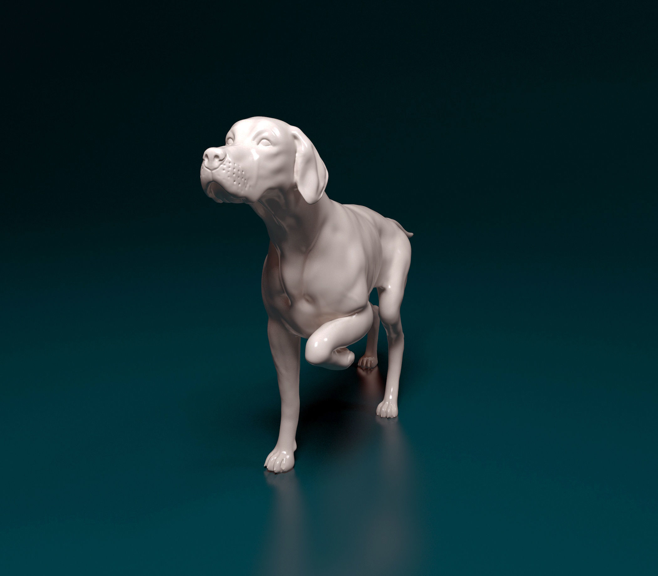English Pointer 3D print model_6
