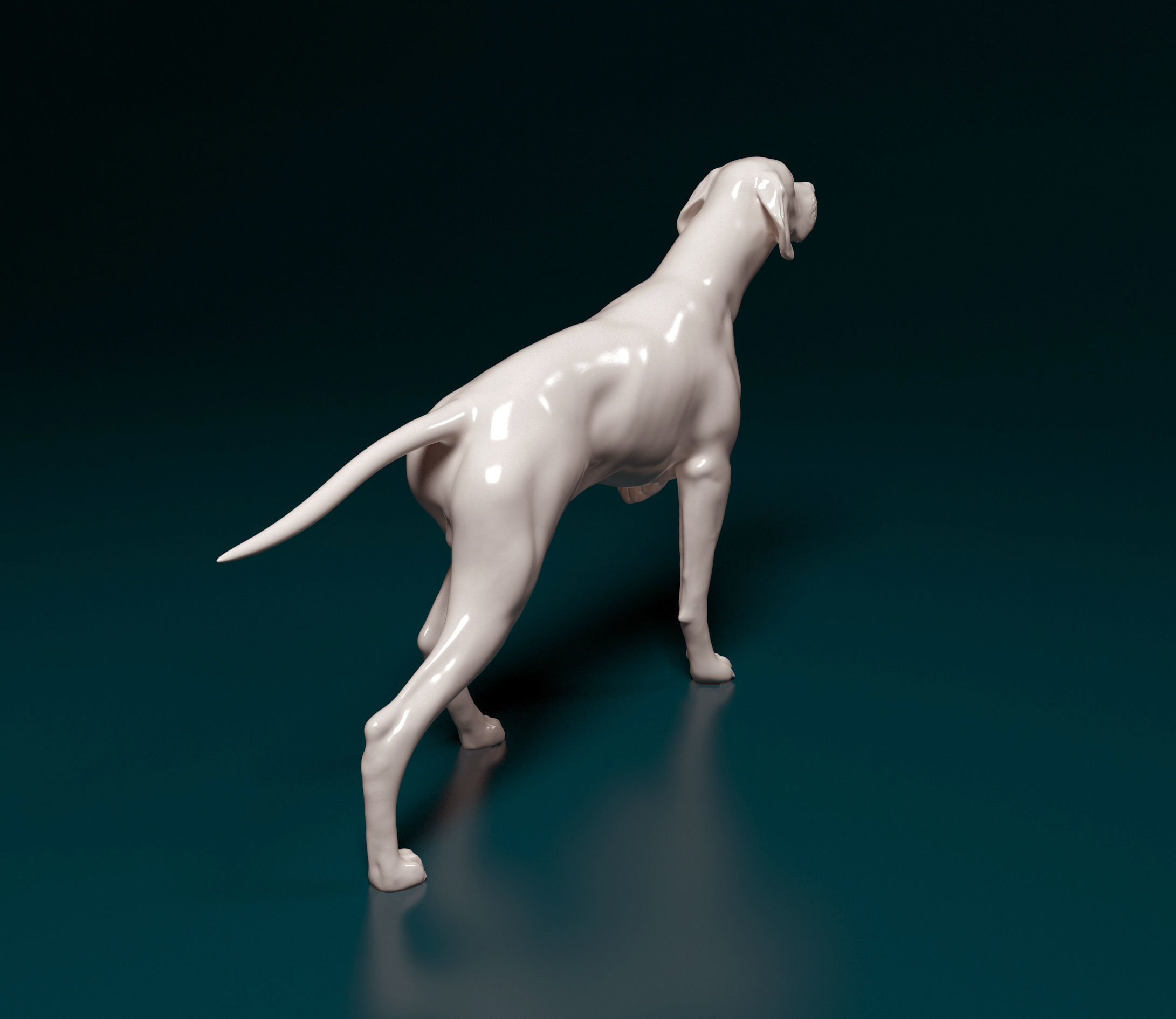 English Pointer 3D print model_2