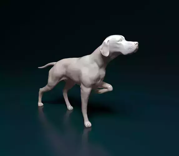 English Pointer 3D print model