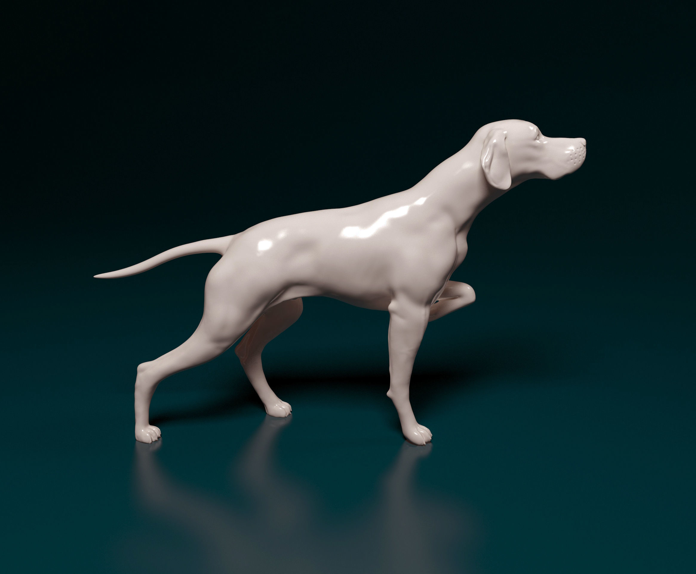 English Pointer 3D print model_1