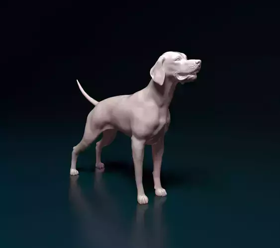 English Pointer 3D print model