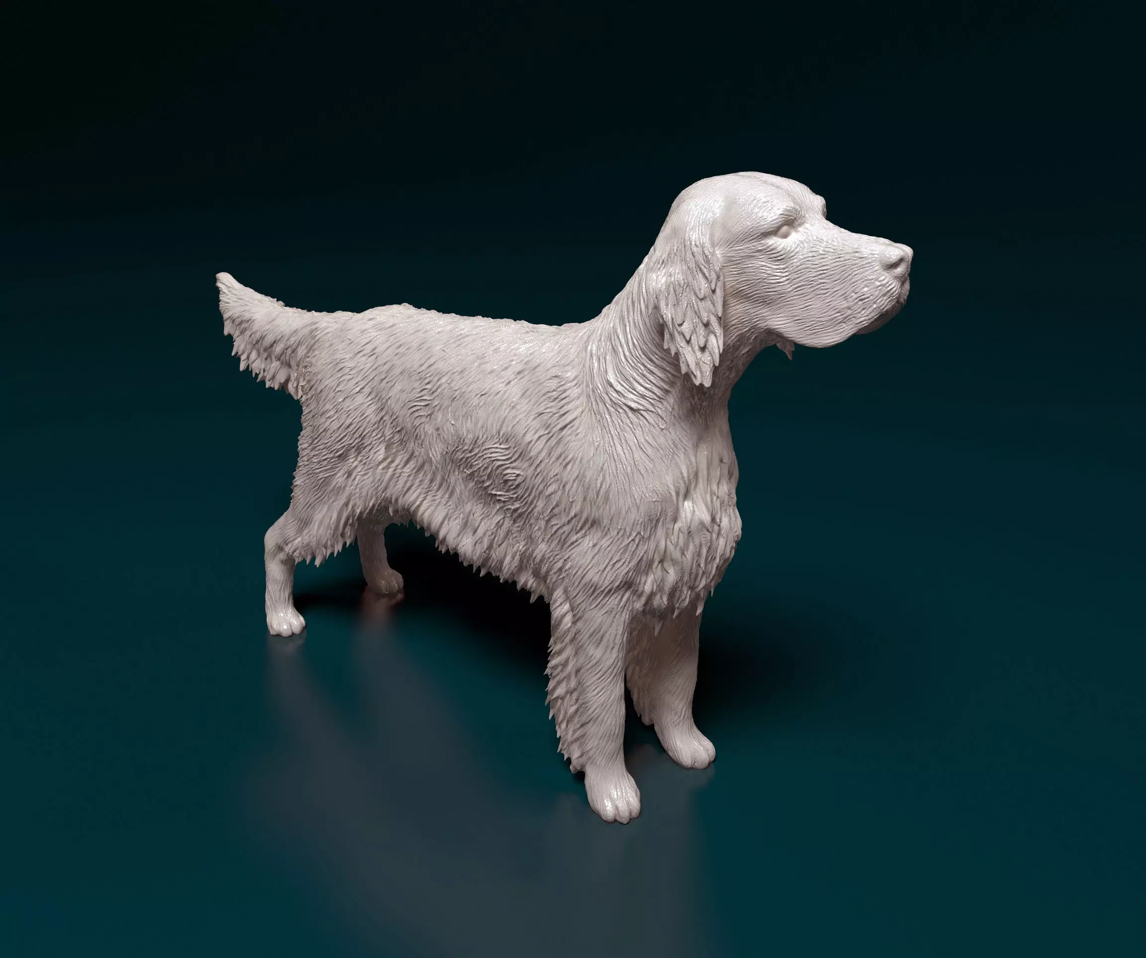 English Setter 3D print model_0