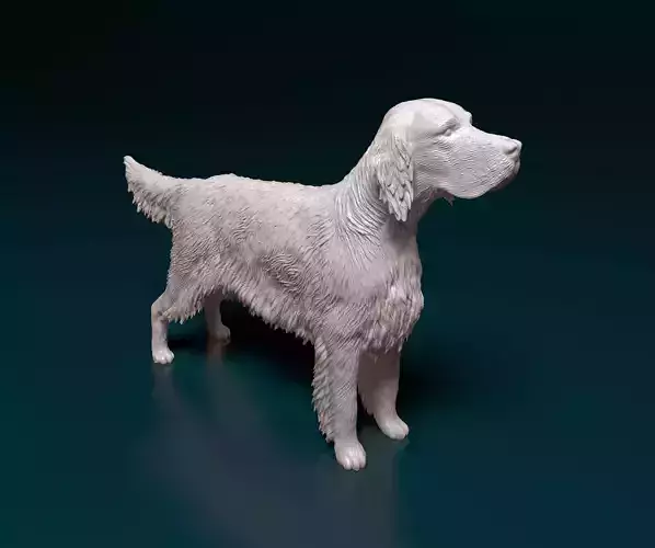 English Setter 3D print model