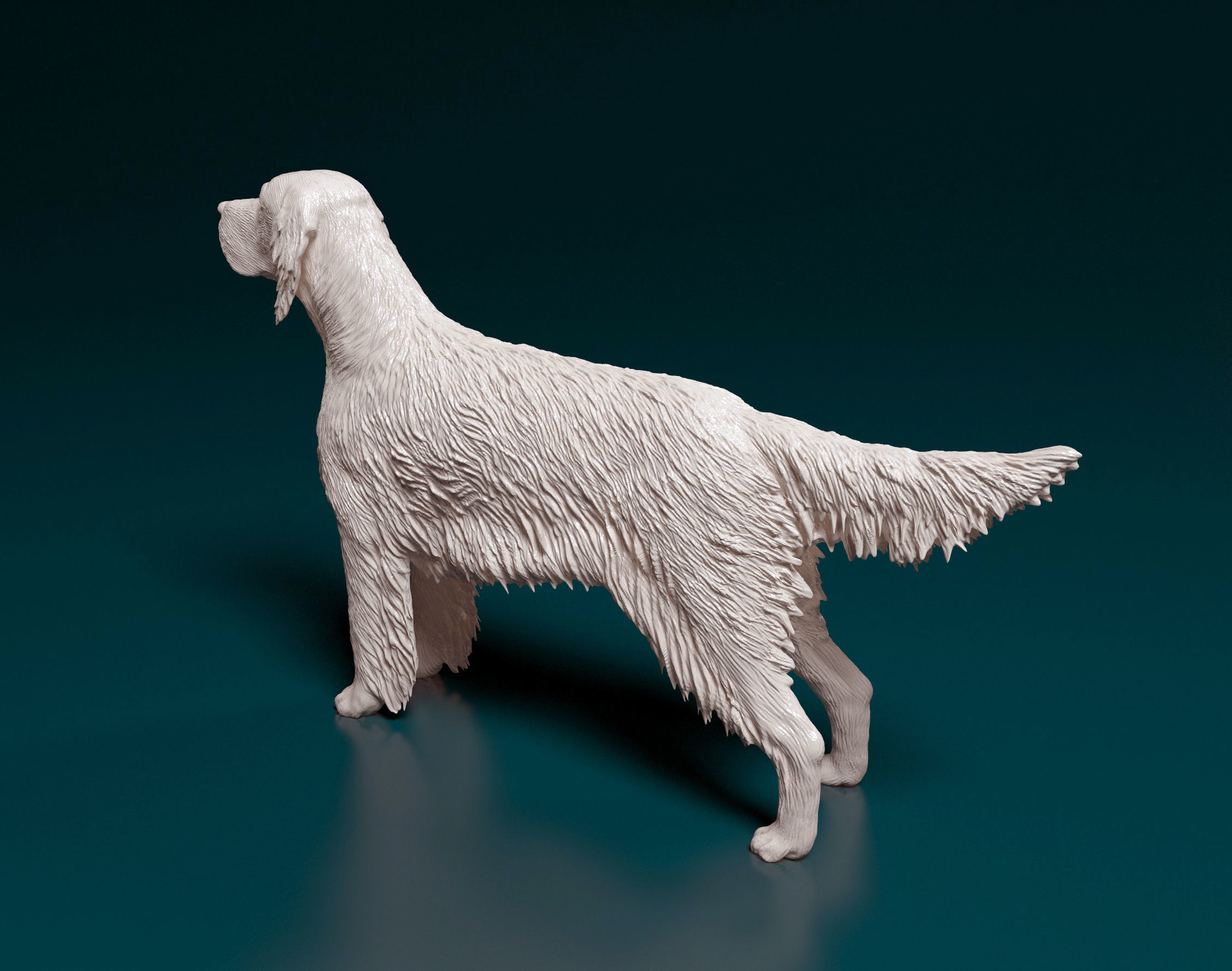 English Setter 3D print model_4