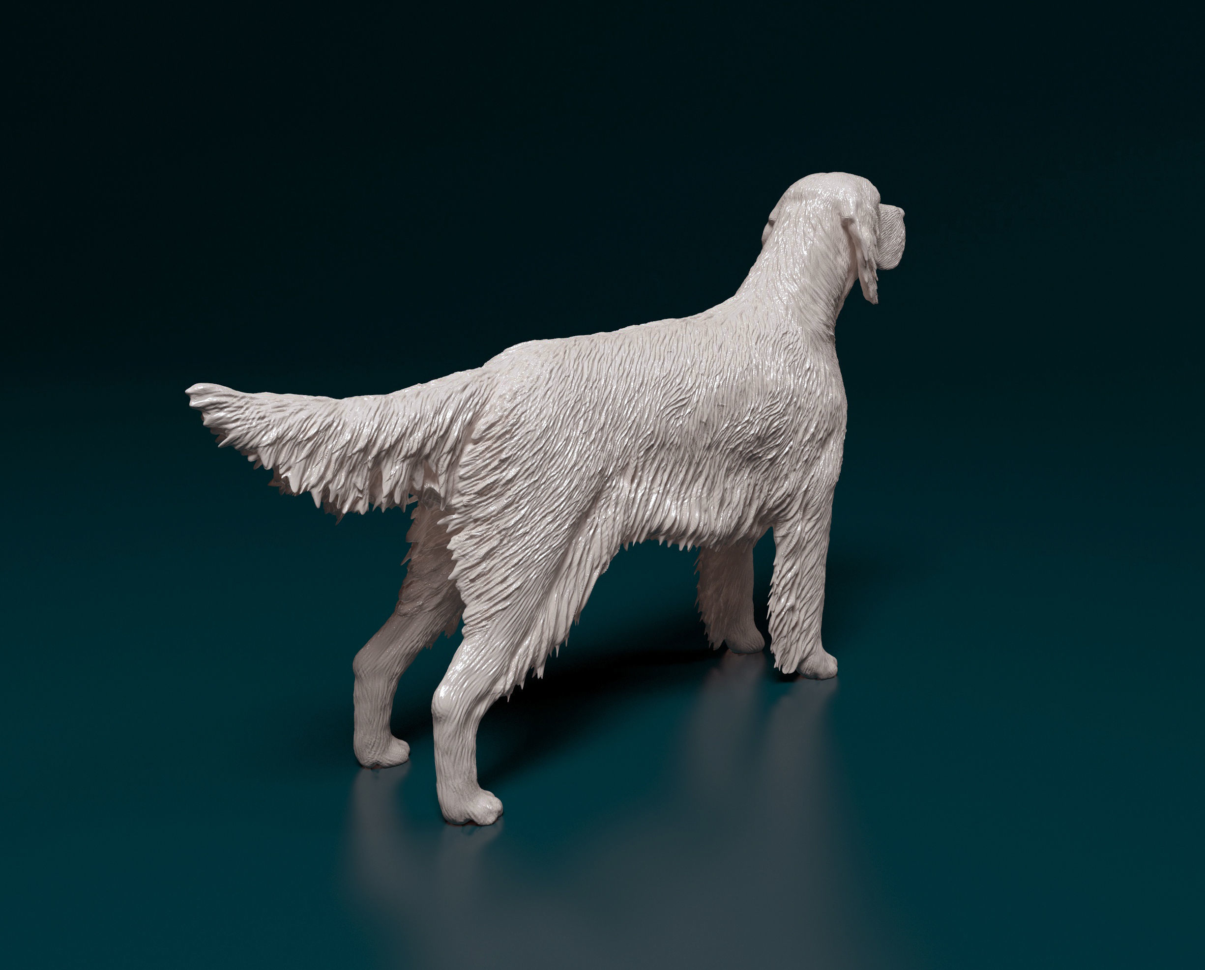 English Setter 3D print model_2