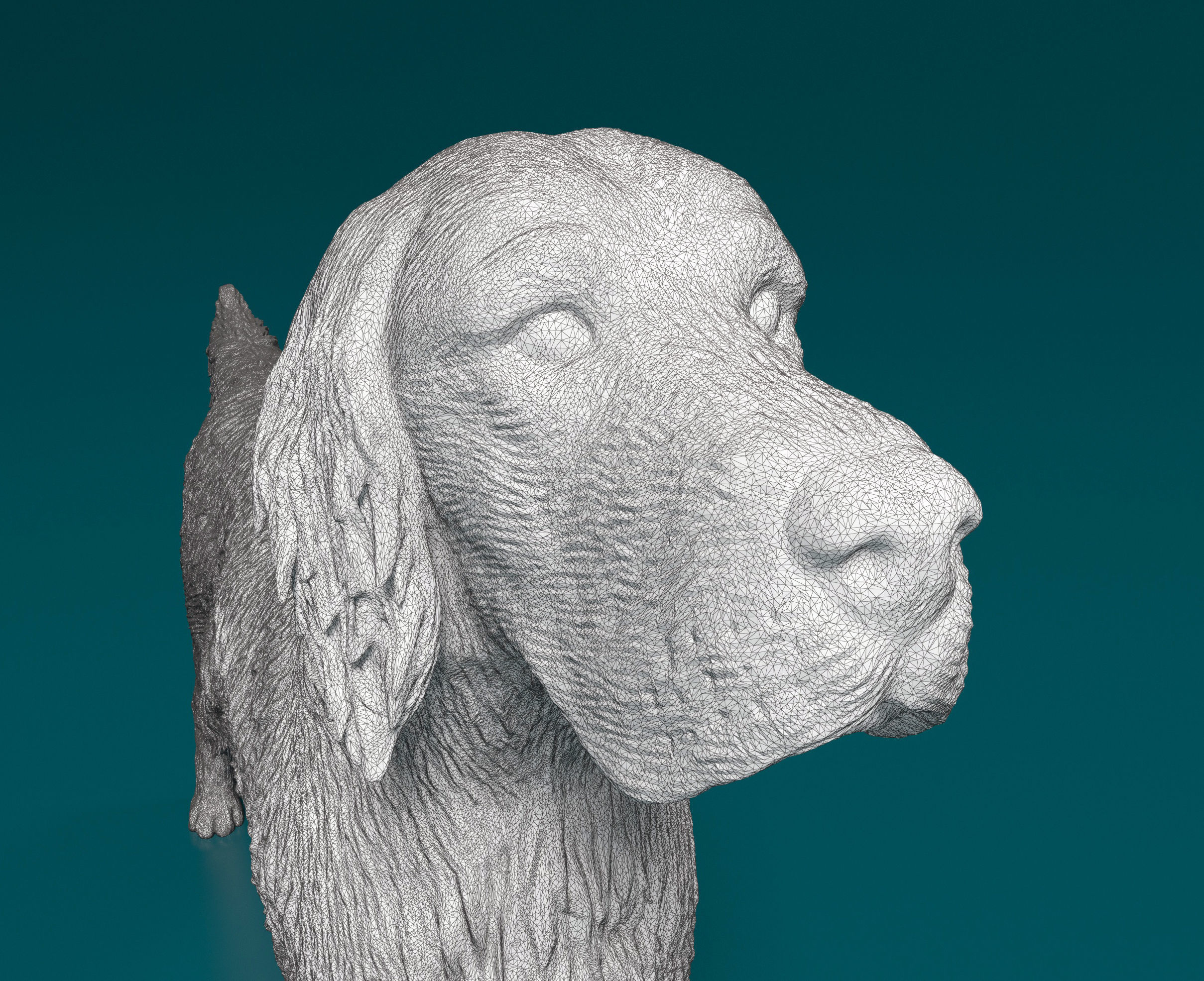 English Setter 3D print model_7