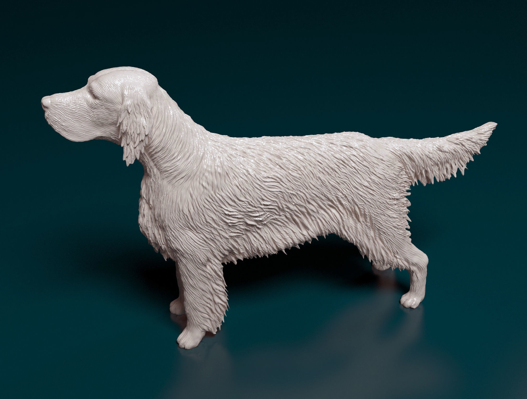 English Setter 3D print model_5