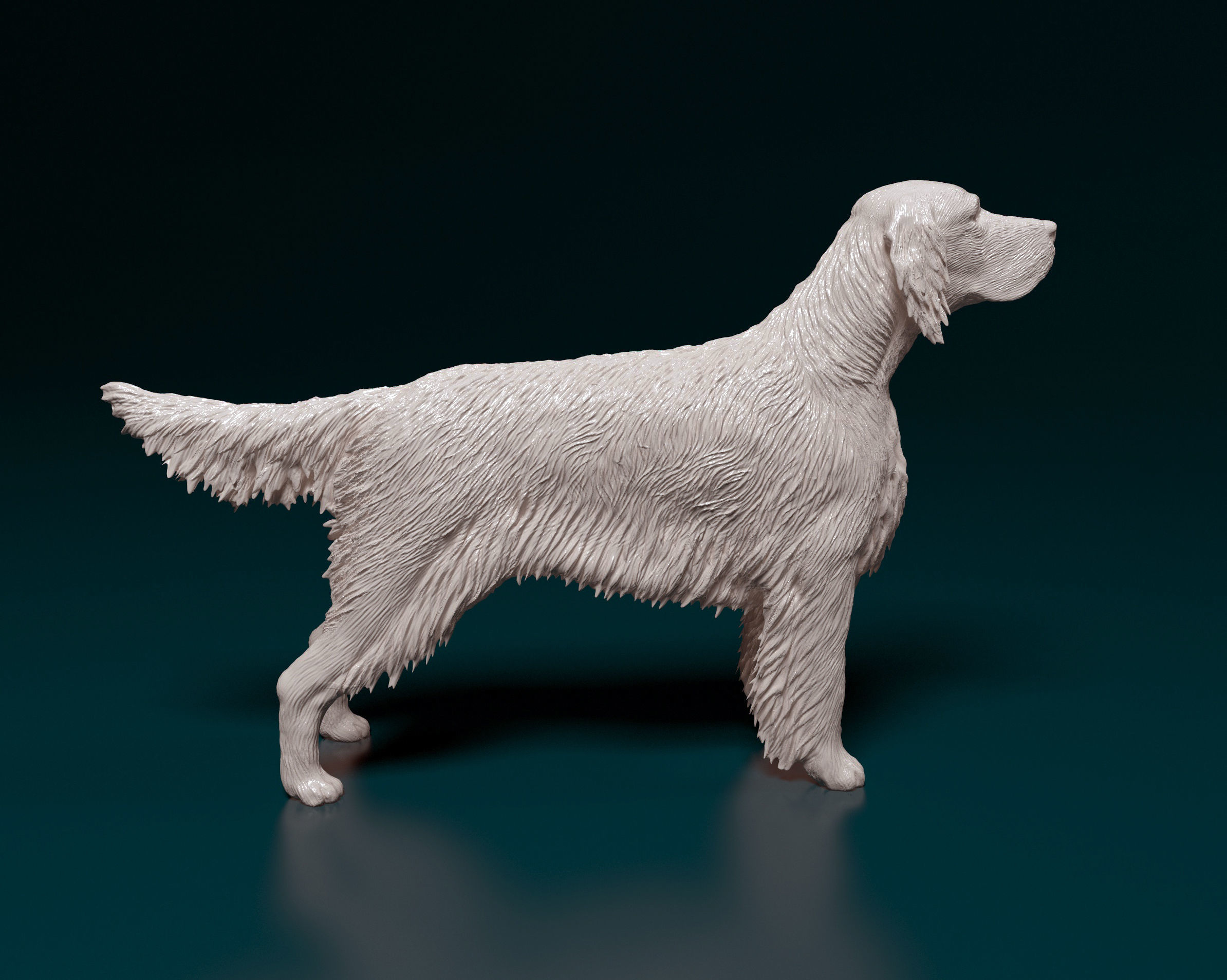 English Setter 3D print model_1