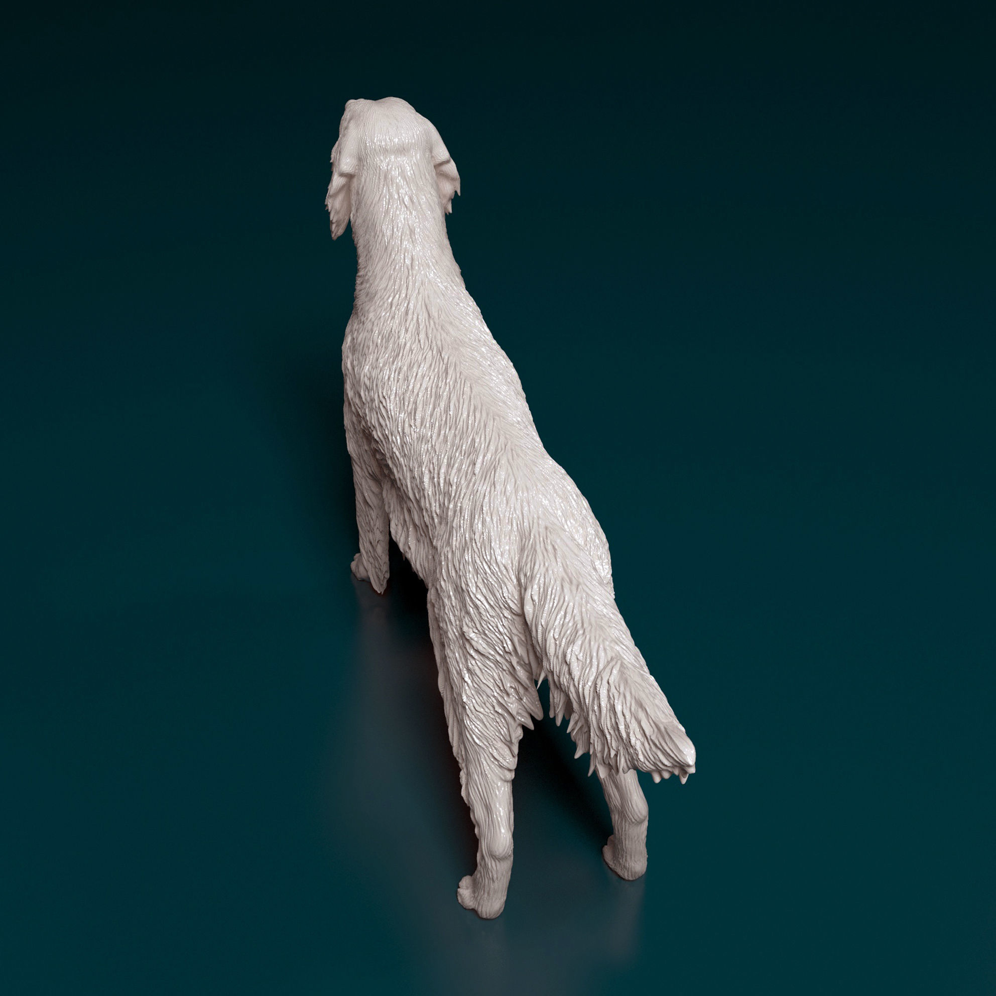 English Setter 3D print model_3