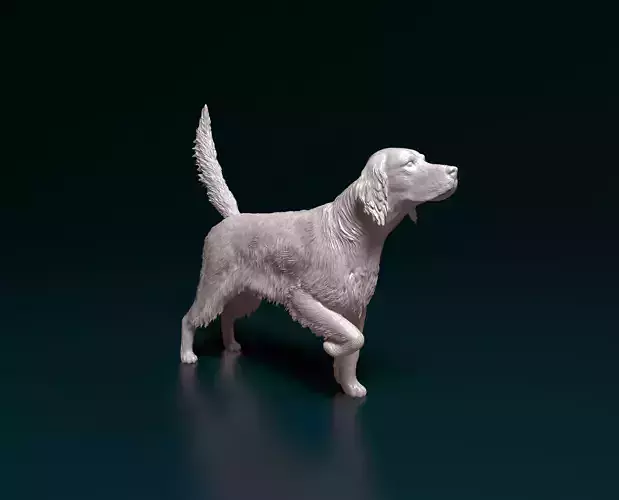 English Setter 3D print model