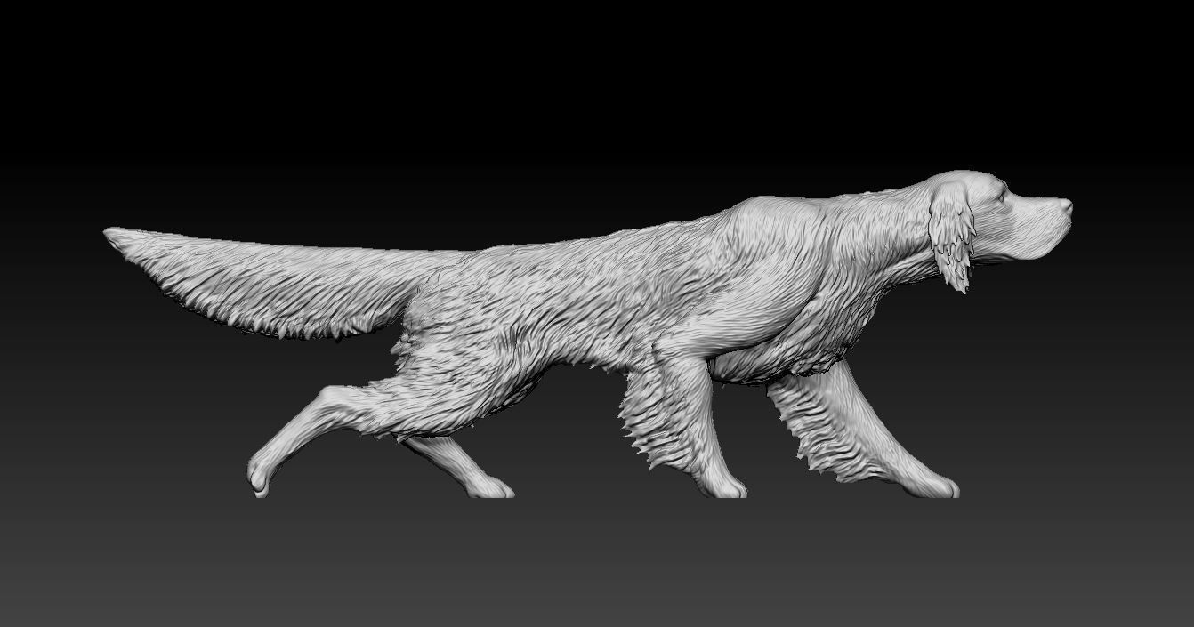 Hunting English Setter 3D print model_7