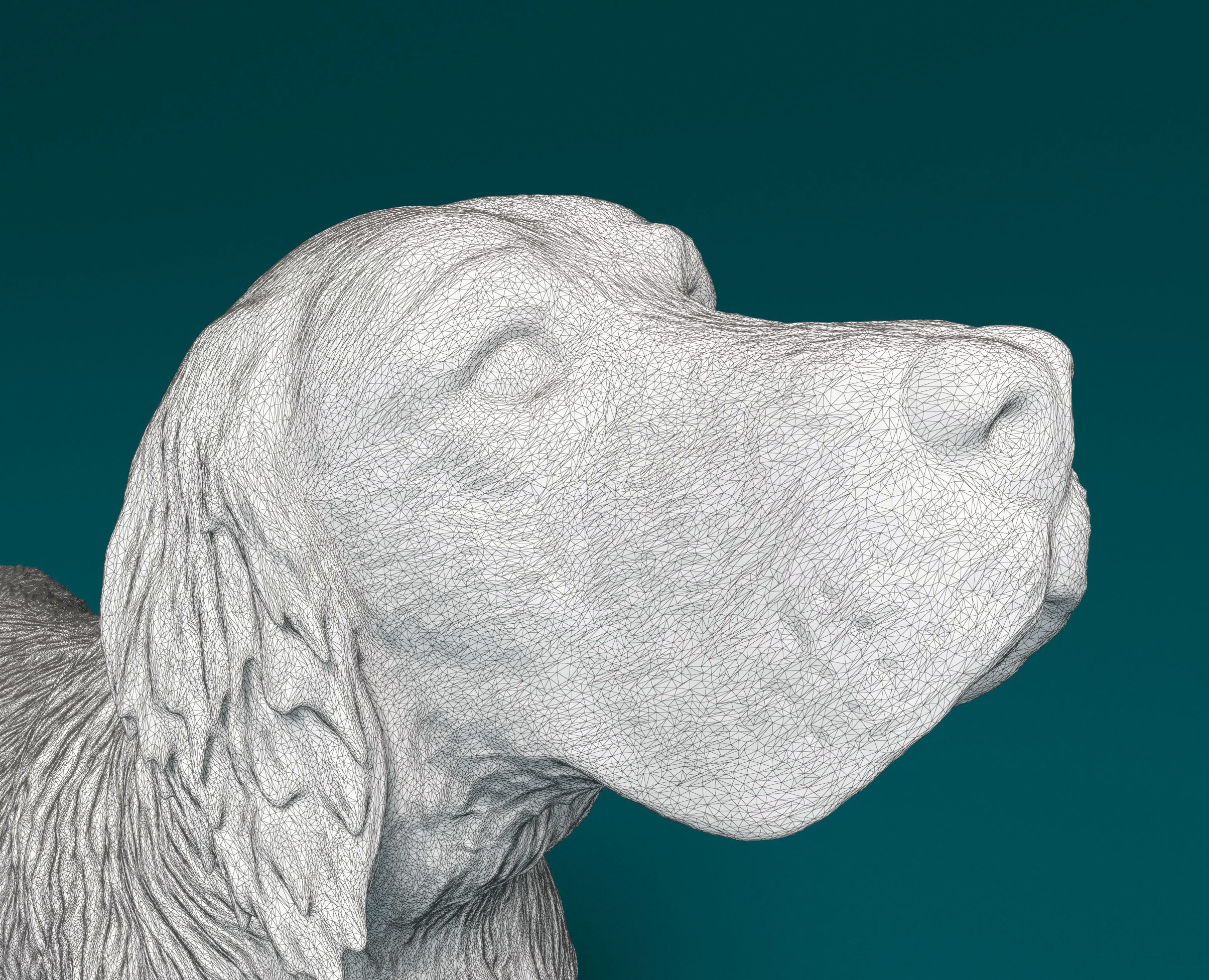 Hunting English Setter 3D print model_6