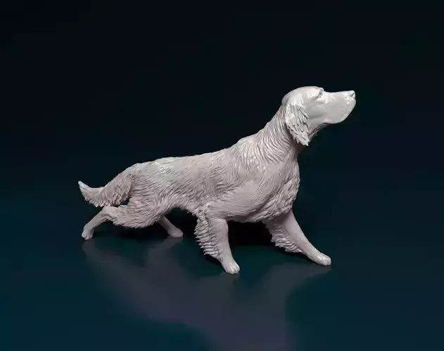 Hunting English Setter 3D print model