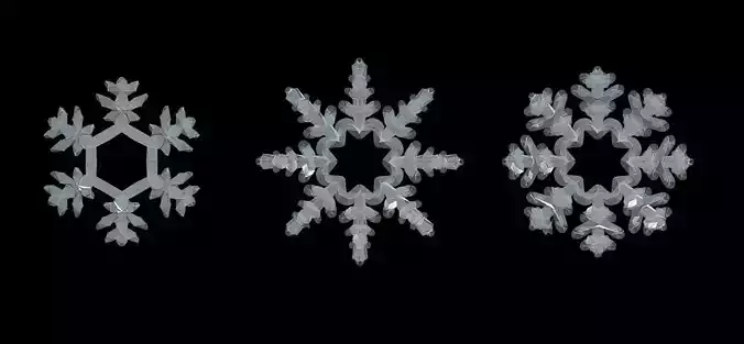 Snowflakes snowflake