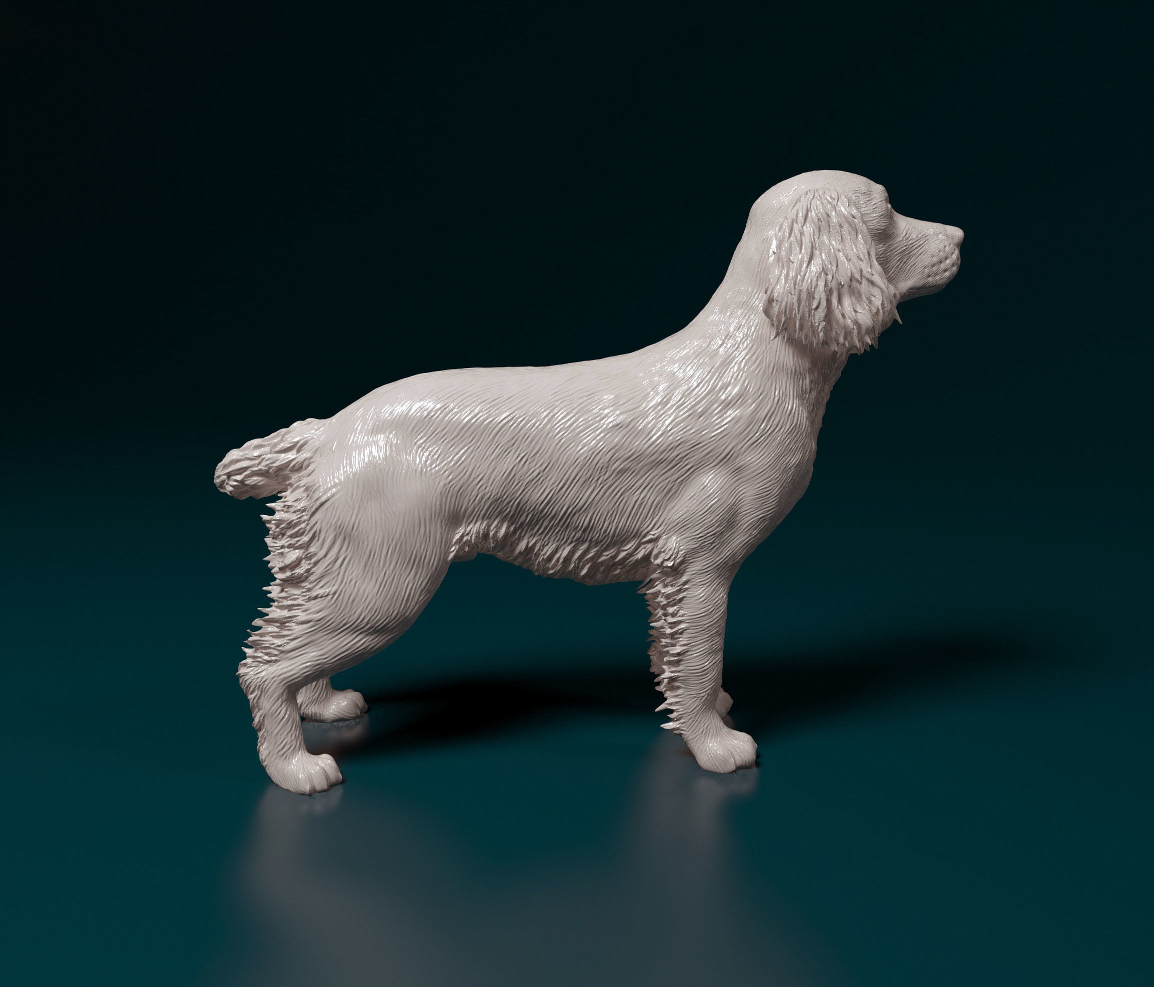 English Springer spaniel 3D print model_1