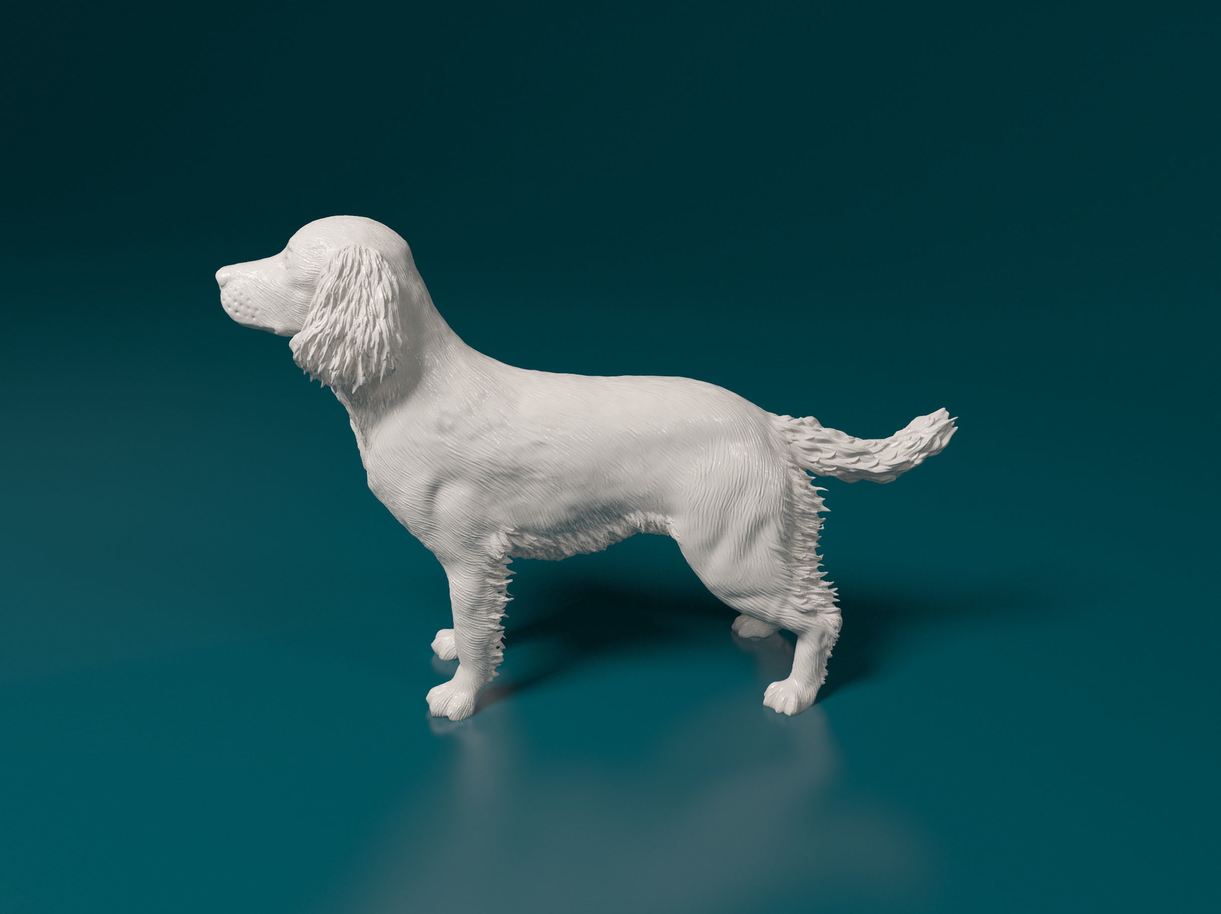 English Springer spaniel 3D print model_7