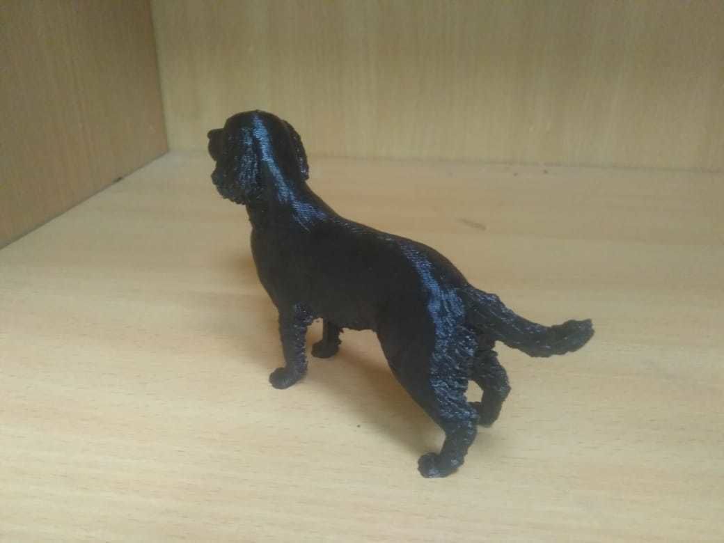 English Springer spaniel 3D print model_12