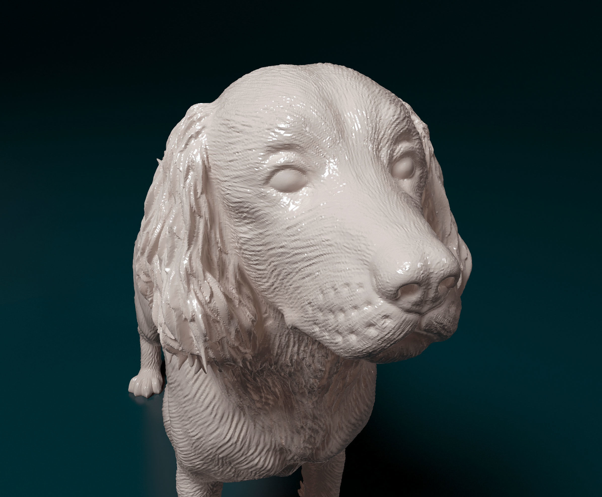 English Springer spaniel 3D print model_10