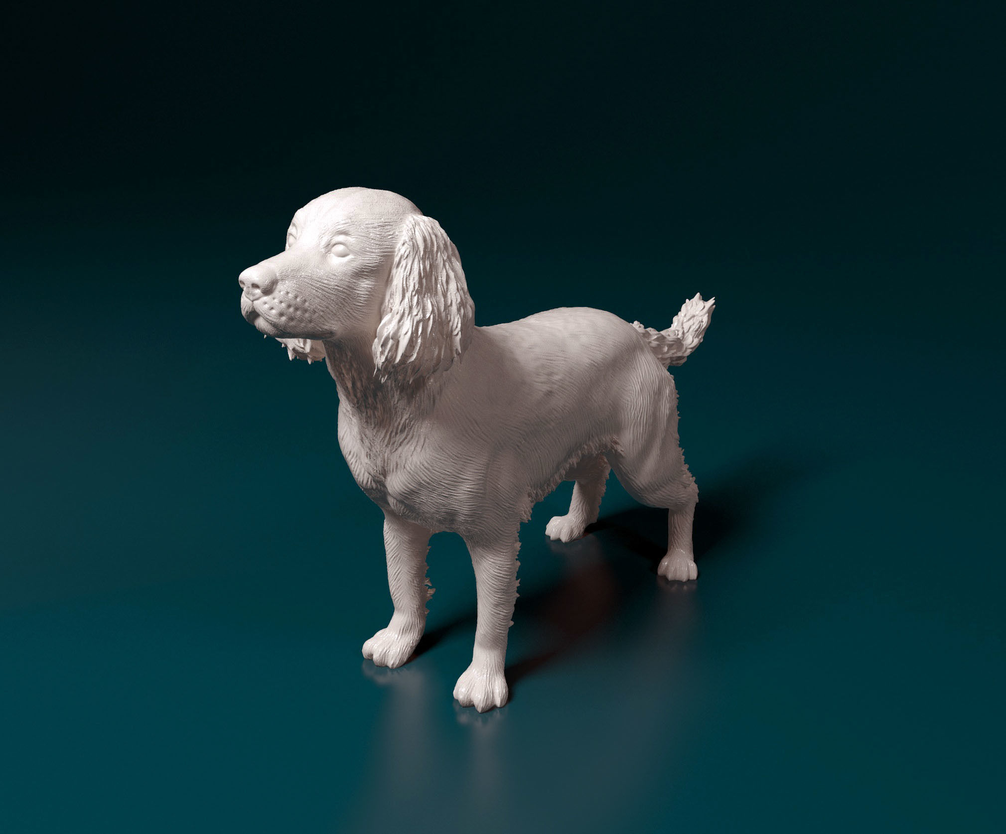 English Springer spaniel 3D print model_8