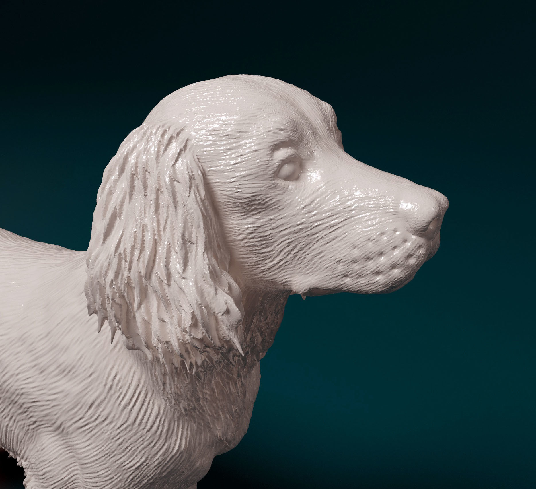 English Springer spaniel 3D print model_9