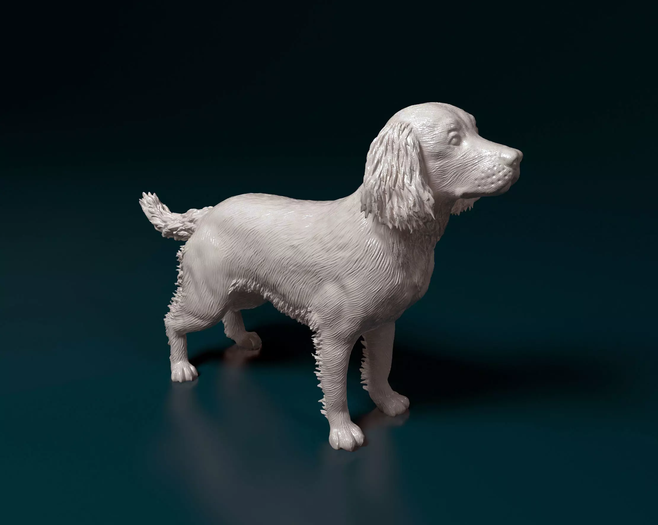 English Springer spaniel 3D print model_0