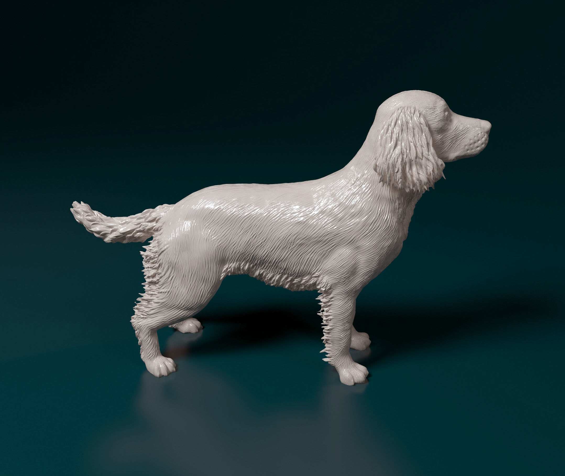 English Springer spaniel 3D print model_3
