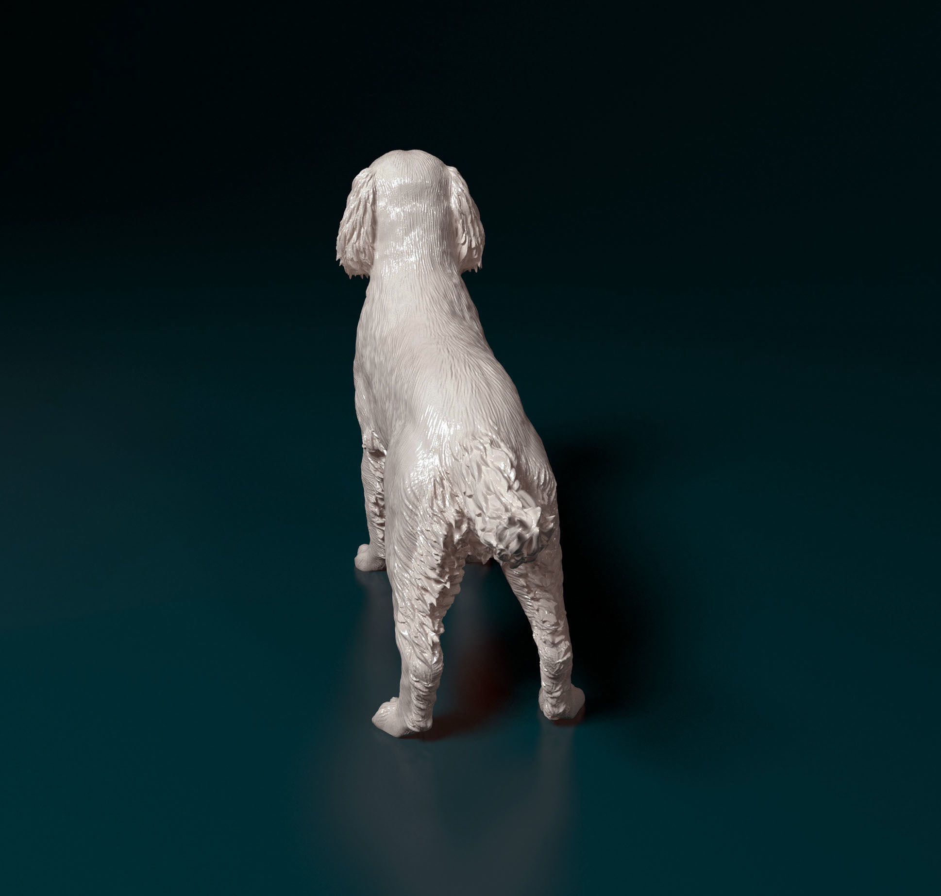English Springer spaniel 3D print model_5
