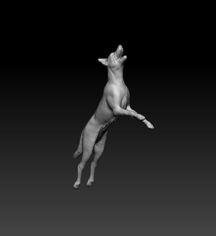 Flying dog 3D print model_10