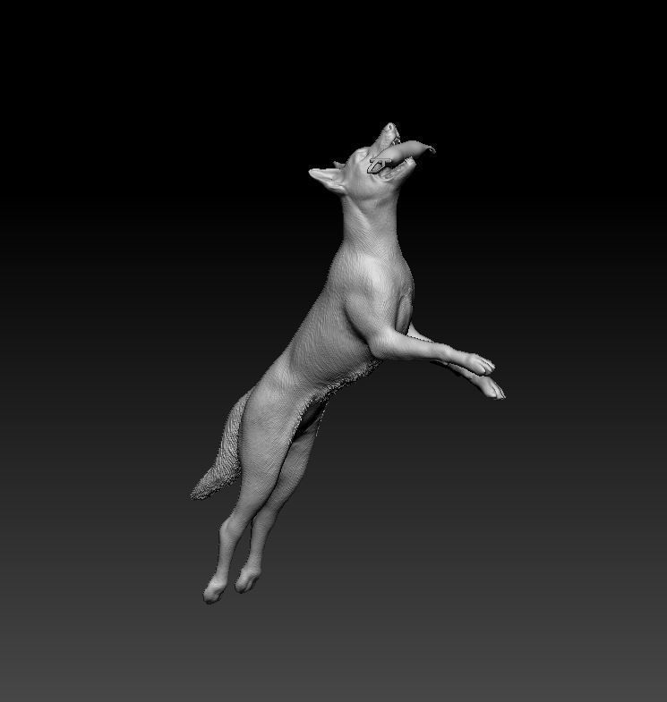 Flying dog 3D print model_9