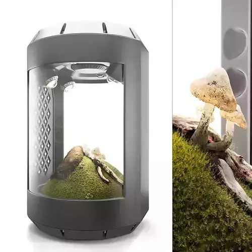 space colonization florarium