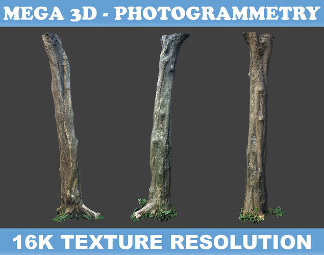 Low poly - High poly Trunk 03 - Photogrammetry Low-poly 3D model