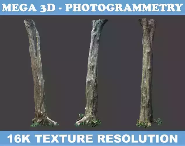 Low poly - High poly Trunk 03 - Photogrammetry Low-poly 3D model