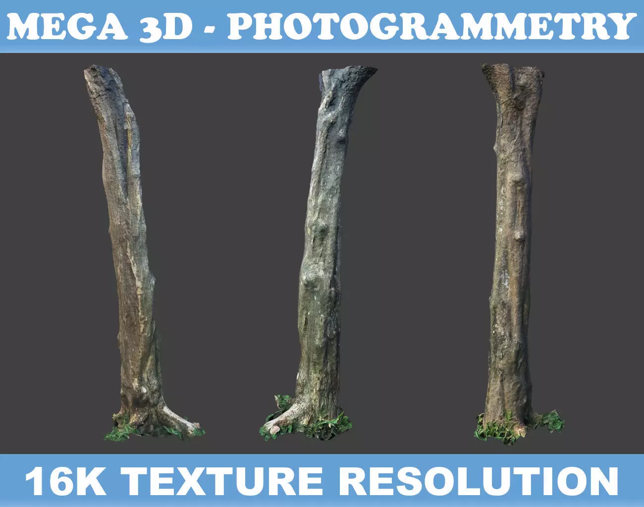 Low poly - High poly Trunk 03 - Photogrammetry Low-poly 3D model_0